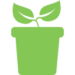 plant-with-two-leaves-on-a-pot-side-view